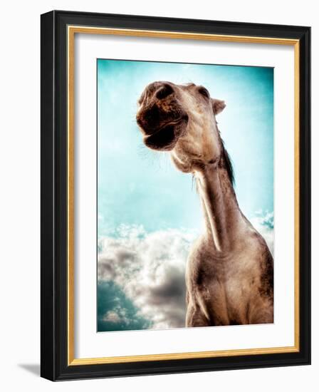 Blemsort-Stephen Arens-Framed Photographic Print