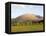 Blencathra from Castlerigg Stone Circle, Keswick, Lake District National Park, Cumbria, England, Un-James Emmerson-Framed Premier Image Canvas