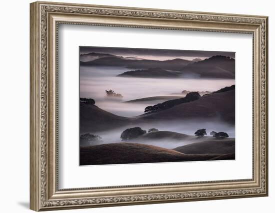 Blend of Hills and Fog, Magic Morning in Sonoma, Petaluma California-Vincent James-Framed Photographic Print