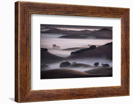 Blend of Hills and Fog, Magic Morning in Sonoma, Petaluma California-Vincent James-Framed Photographic Print