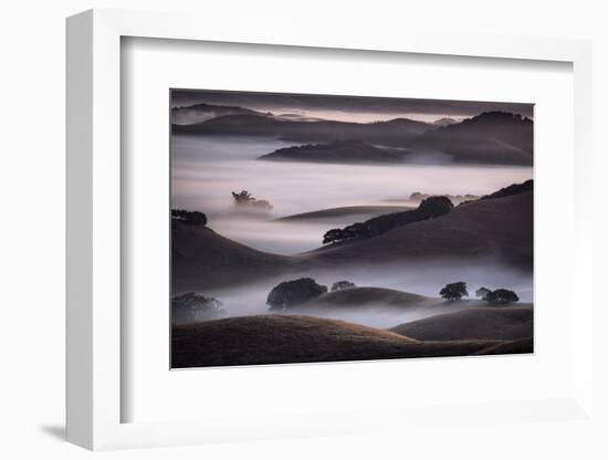 Blend of Hills and Fog, Magic Morning in Sonoma, Petaluma California-Vincent James-Framed Photographic Print