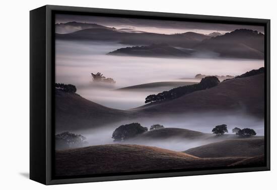 Blend of Hills and Fog, Magic Morning in Sonoma, Petaluma California-Vincent James-Framed Premier Image Canvas