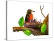 Stretched Canvas Print
