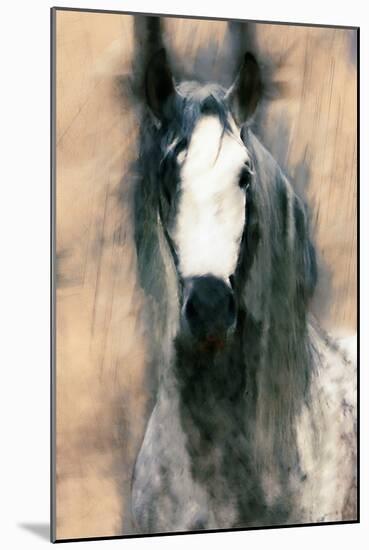 Blended Horse II-Kim Curinga-Mounted Art Print