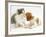 Blenheim Cavalier King Charles Spaniel Puppy Meets Blue Bicolour Kitten-Jane Burton-Framed Photographic Print