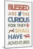 Blessed are the Curious-Mercedes Lopez Charro-Mounted Art Print