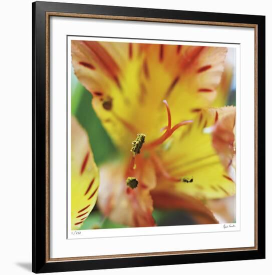 Blessed-Michelle Wermuth-Framed Giclee Print