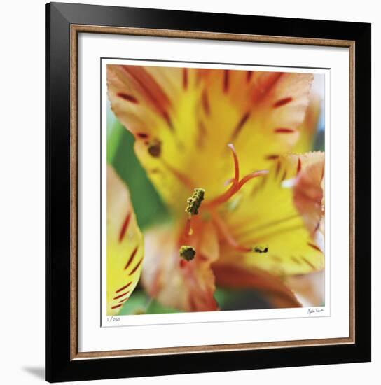 Blessed-Michelle Wermuth-Framed Giclee Print