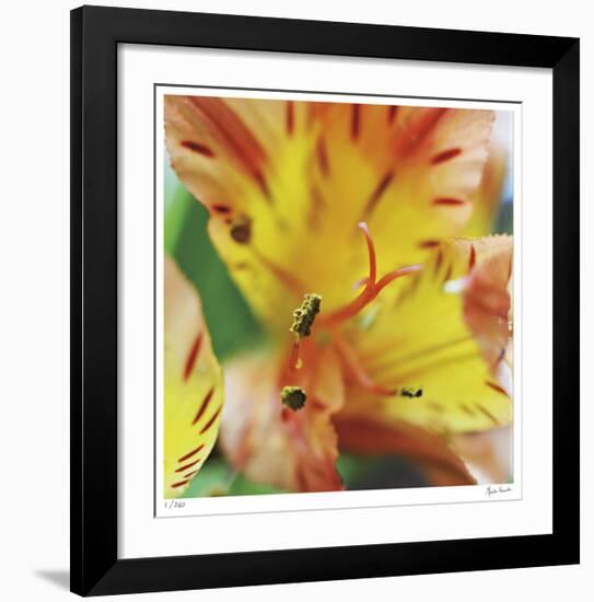 Blessed-Michelle Wermuth-Framed Giclee Print