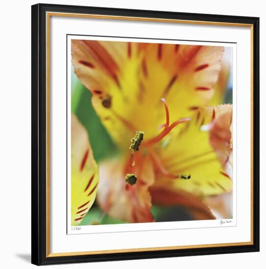 Blessed-Michelle Wermuth-Framed Giclee Print