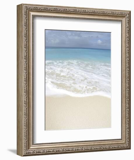 Bleu 1-Brian Leighton-Framed Art Print