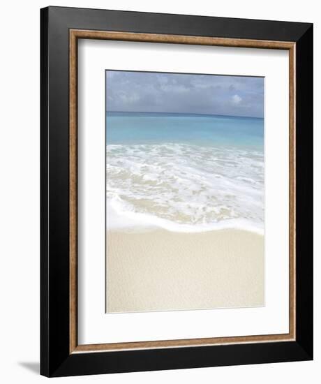 Bleu 1-Brian Leighton-Framed Art Print