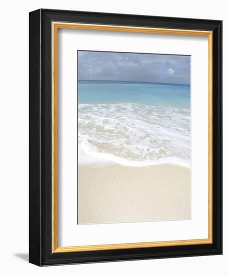 Bleu 1-Brian Leighton-Framed Art Print