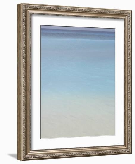 Bleu, No. 2-Brian Leighton-Framed Art Print