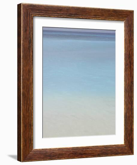 Bleu, No. 2-Brian Leighton-Framed Art Print