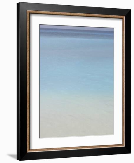 Bleu, No. 2-Brian Leighton-Framed Art Print