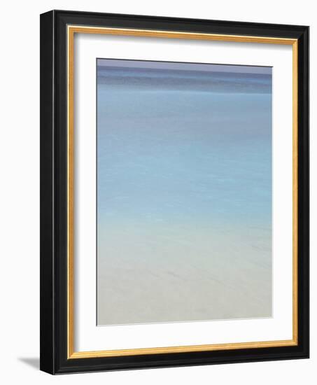 Bleu, No. 2-Brian Leighton-Framed Art Print