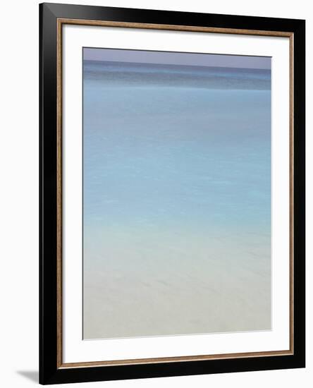 Bleu, No. 2-Brian Leighton-Framed Art Print