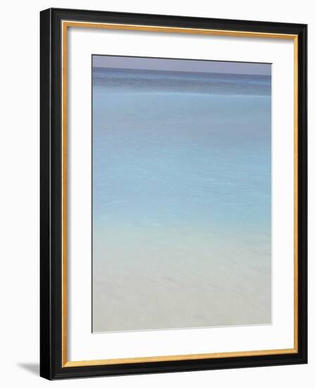 Bleu, No. 2-Brian Leighton-Framed Giclee Print