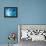 Bleu-Anna Polanski-Framed Stretched Canvas displayed on a wall