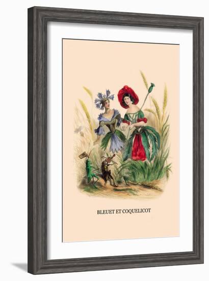 Bleuet et Coquelicot-J.J. Grandville-Framed Art Print