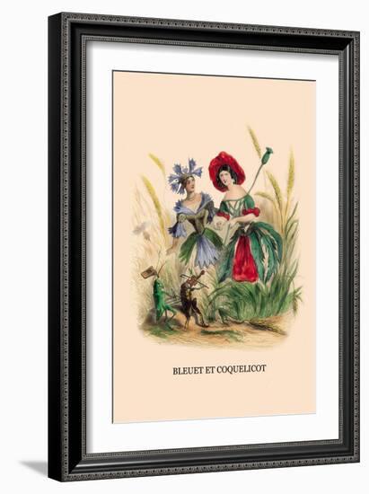 Bleuet et Coquelicot-J.J. Grandville-Framed Art Print