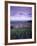 Blienschwiller, Alsace, France-Doug Pearson-Framed Photographic Print