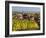 Blienschwiller, Alsatian Wine Route, Alsace Region, Bas-Rhin, France-Walter Bibikow-Framed Photographic Print