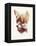 Blind Fox-Robert Farkas-Framed Premier Image Canvas