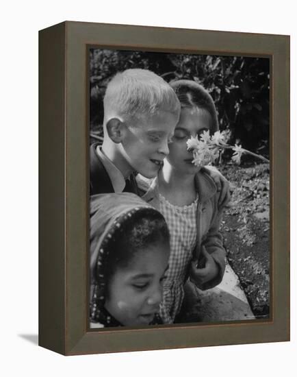 Blind School Children During an Outing in Brooklyn Botanical Gardens of Fragrance-Lisa Larsen-Framed Premier Image Canvas