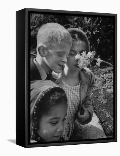 Blind School Children During an Outing in Brooklyn Botanical Gardens of Fragrance-Lisa Larsen-Framed Premier Image Canvas