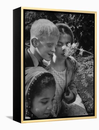 Blind School Children During an Outing in Brooklyn Botanical Gardens of Fragrance-Lisa Larsen-Framed Premier Image Canvas