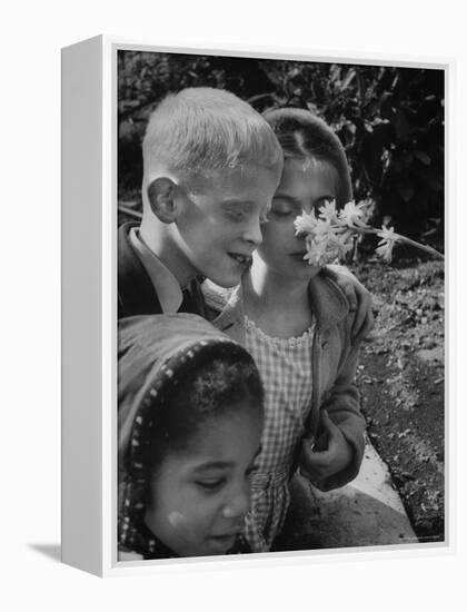 Blind School Children During an Outing in Brooklyn Botanical Gardens of Fragrance-Lisa Larsen-Framed Premier Image Canvas