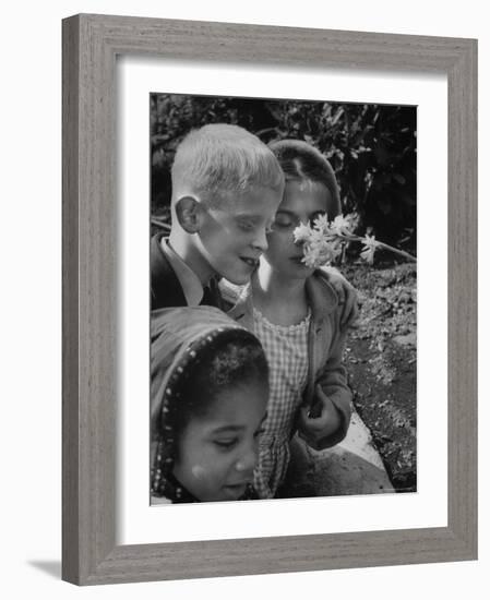 Blind School Children During an Outing in Brooklyn Botanical Gardens of Fragrance-Lisa Larsen-Framed Photographic Print