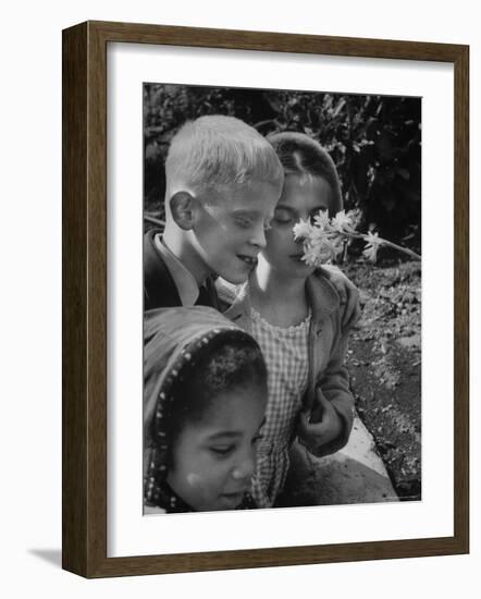 Blind School Children During an Outing in Brooklyn Botanical Gardens of Fragrance-Lisa Larsen-Framed Photographic Print
