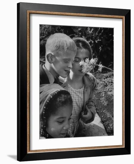 Blind School Children During an Outing in Brooklyn Botanical Gardens of Fragrance-Lisa Larsen-Framed Photographic Print