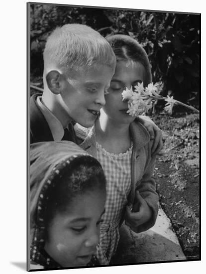 Blind School Children During an Outing in Brooklyn Botanical Gardens of Fragrance-Lisa Larsen-Mounted Photographic Print