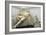 Blinding of Polyphemus or Polyphemos Group-Greek-Framed Photographic Print