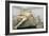 Blinding of Polyphemus or Polyphemos Group-Greek-Framed Photographic Print