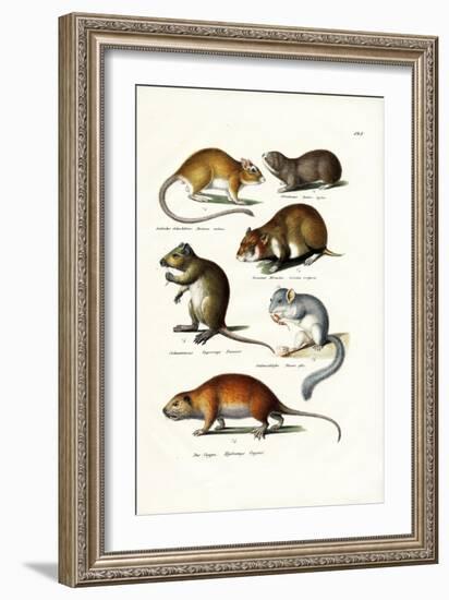 Blindmole, 1824-Karl Joseph Brodtmann-Framed Giclee Print