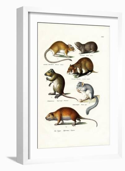 Blindmole, 1824-Karl Joseph Brodtmann-Framed Giclee Print