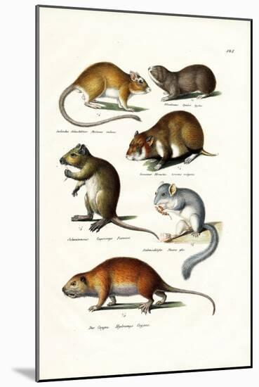 Blindmole, 1824-Karl Joseph Brodtmann-Mounted Giclee Print