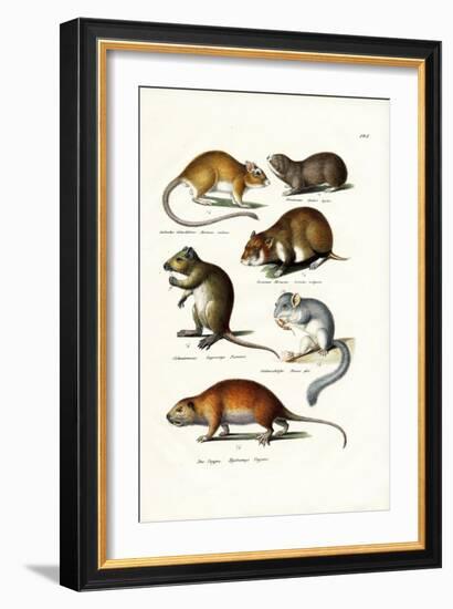 Blindmole, 1824-Karl Joseph Brodtmann-Framed Giclee Print