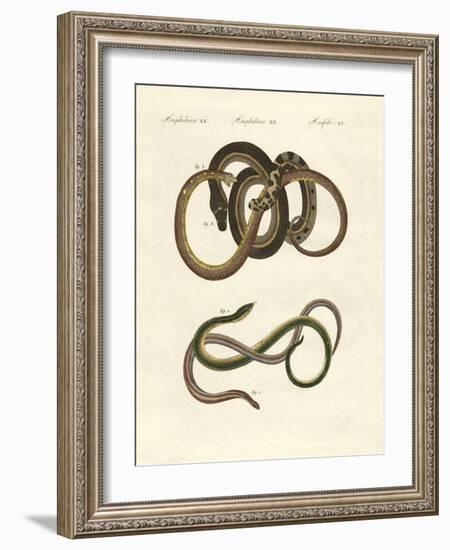 Blindworms-null-Framed Giclee Print