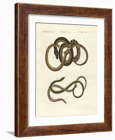 Blindworms-null-Framed Giclee Print