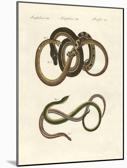 Blindworms-null-Mounted Giclee Print