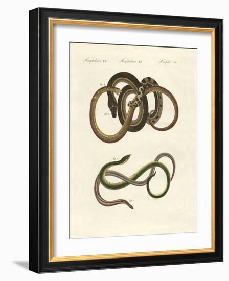 Blindworms-null-Framed Giclee Print