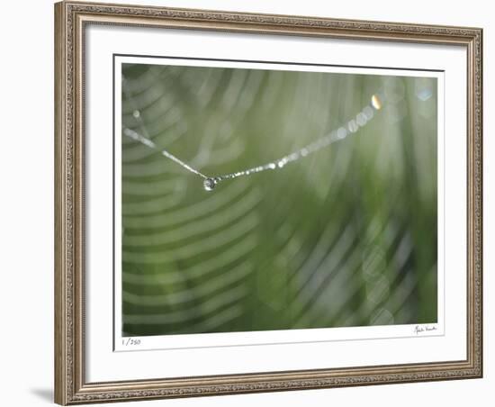 Bling-Michelle Wermuth-Framed Giclee Print