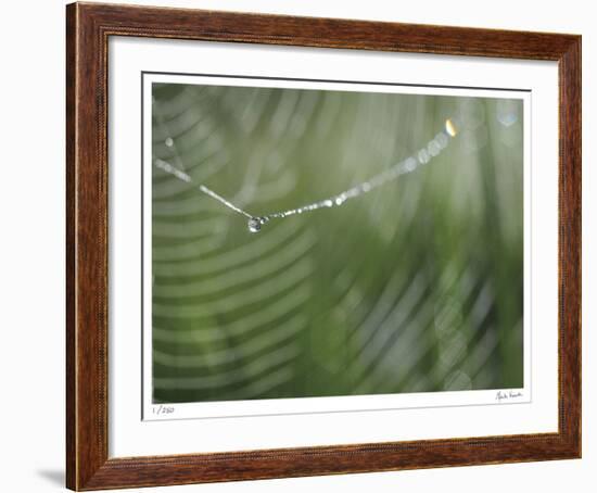 Bling-Michelle Wermuth-Framed Giclee Print