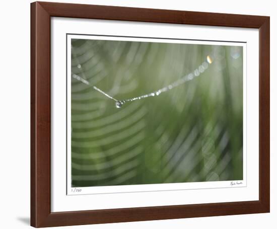 Bling-Michelle Wermuth-Framed Giclee Print
